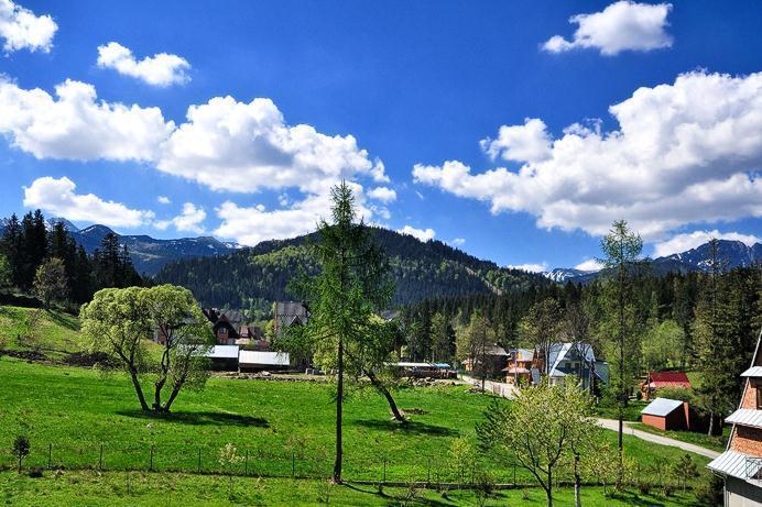 Pokoje Goscinne U Marysi Zakopane Exteriér fotografie